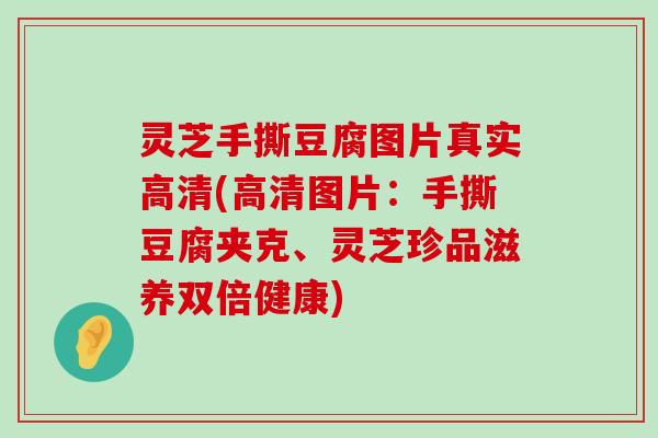 灵芝手撕豆腐图片真实高清(高清图片：手撕豆腐夹克、灵芝珍品滋养双倍健康)