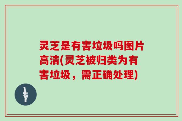 灵芝是有害垃圾吗图片高清(灵芝被归类为有害垃圾，需正确处理)