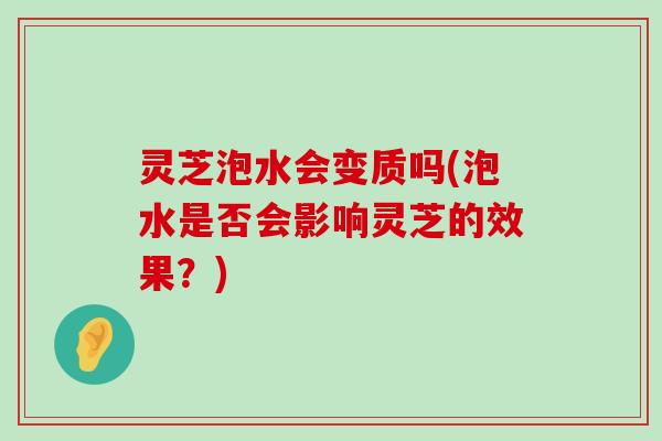 灵芝泡水会变质吗(泡水是否会影响灵芝的效果？)