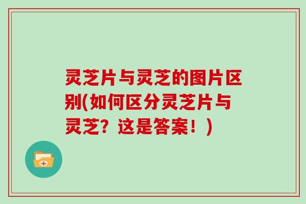 灵芝片与灵芝的图片区别(如何区分灵芝片与灵芝？这是答案！)