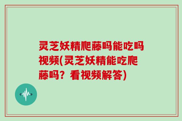 灵芝妖精爬藤吗能吃吗视频(灵芝妖精能吃爬藤吗？看视频解答)