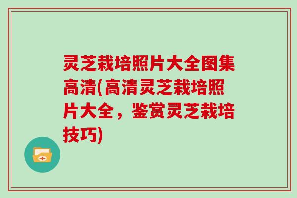 灵芝栽培照片大全图集高清(高清灵芝栽培照片大全，鉴赏灵芝栽培技巧)