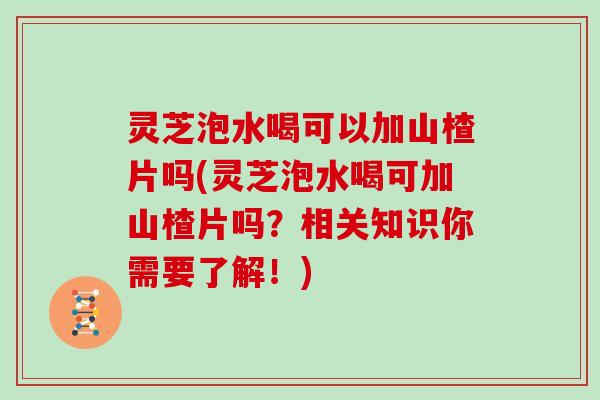 灵芝泡水喝可以加山楂片吗(灵芝泡水喝可加山楂片吗？相关知识你需要了解！)