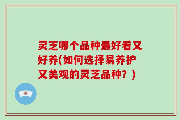 灵芝哪个品种好看又好养(如何选择易养护又美观的灵芝品种？)