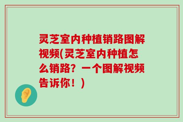 灵芝室内种植销路图解视频(灵芝室内种植怎么销路？一个图解视频告诉你！)