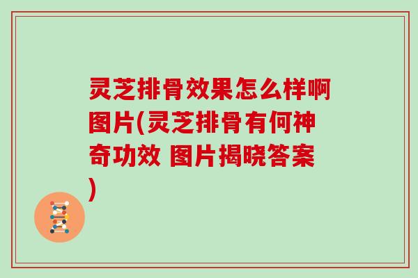 灵芝排骨效果怎么样啊图片(灵芝排骨有何神奇功效 图片揭晓答案)