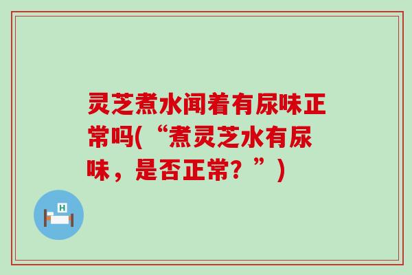 灵芝煮水闻着有尿味正常吗(“煮灵芝水有尿味，是否正常？”)