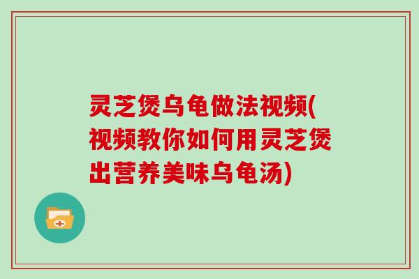 灵芝煲乌龟做法视频(视频教你如何用灵芝煲出营养美味乌龟汤)