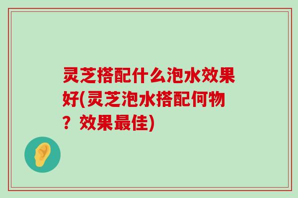 灵芝搭配什么泡水效果好(灵芝泡水搭配何物？效果佳)