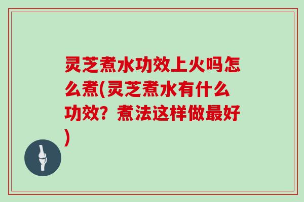 灵芝煮水功效上火吗怎么煮(灵芝煮水有什么功效？煮法这样做好)