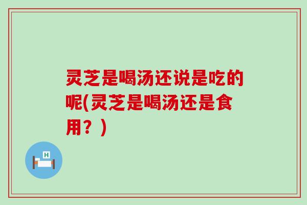 灵芝是喝汤还说是吃的呢(灵芝是喝汤还是食用？)