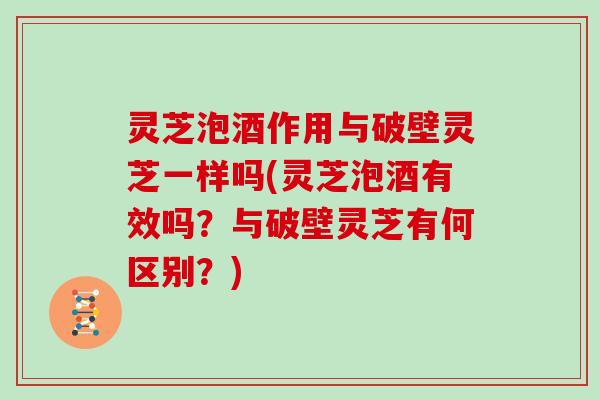 灵芝泡酒作用与破壁灵芝一样吗(灵芝泡酒有效吗？与破壁灵芝有何区别？)