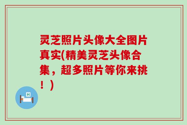 灵芝照片头像大全图片真实(精美灵芝头像合集，超多照片等你来挑！)