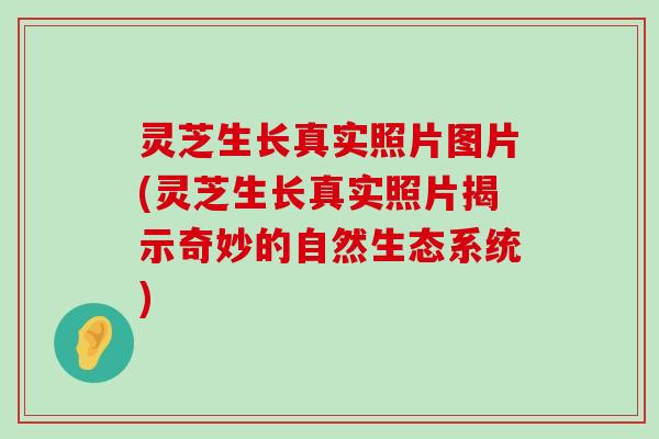 灵芝生长真实照片图片(灵芝生长真实照片揭示奇妙的自然生态系统)