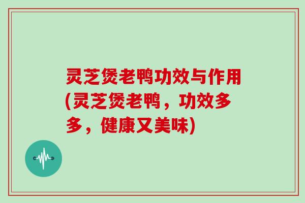 灵芝煲老鸭功效与作用(灵芝煲老鸭，功效多多，健康又美味)