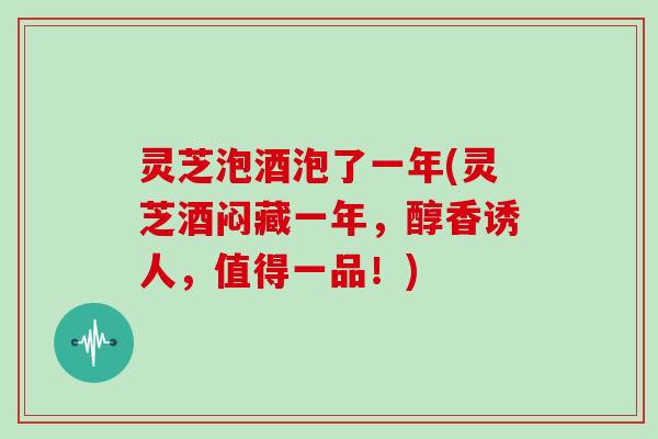 灵芝泡酒泡了一年(灵芝酒闷藏一年，醇香诱人，值得一品！)