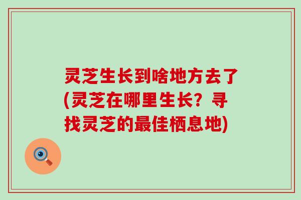 灵芝生长到啥地方去了(灵芝在哪里生长？寻找灵芝的佳栖息地)