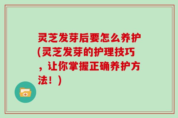 灵芝发芽后要怎么养护(灵芝发芽的护理技巧，让你掌握正确养护方法！)