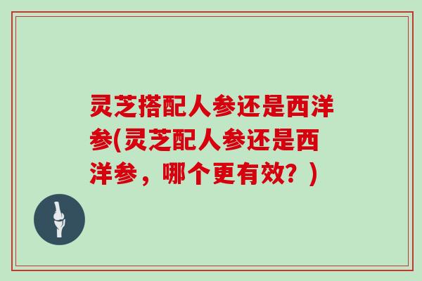 灵芝搭配人参还是西洋参(灵芝配人参还是西洋参，哪个更有效？)