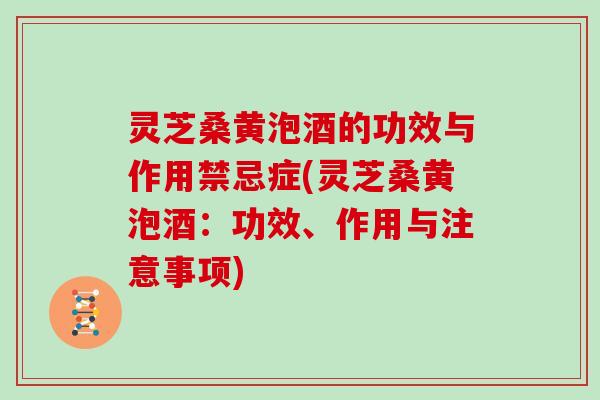 灵芝桑黄泡酒的功效与作用禁忌症(灵芝桑黄泡酒：功效、作用与注意事项)