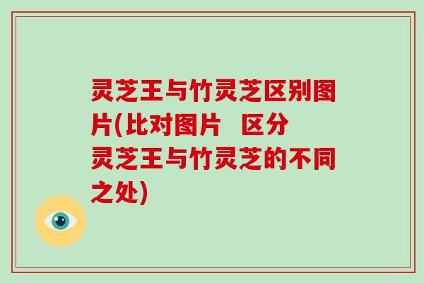 灵芝王与竹灵芝区别图片(比对图片  区分灵芝王与竹灵芝的不同之处)