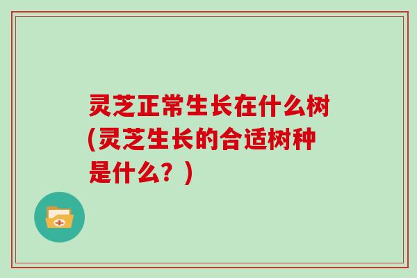 灵芝正常生长在什么树(灵芝生长的合适树种是什么？)