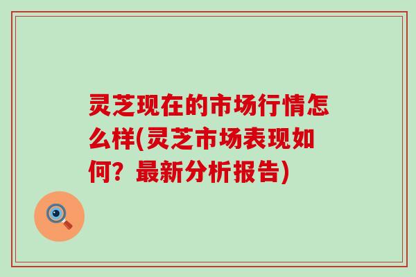 灵芝现在的市场行情怎么样(灵芝市场表现如何？新分析报告)