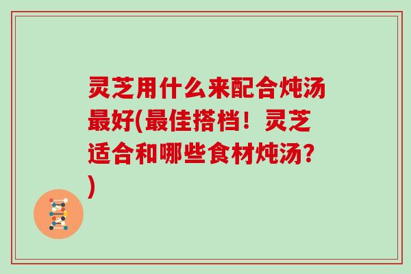 灵芝用什么来配合炖汤好(佳搭档！灵芝适合和哪些食材炖汤？)