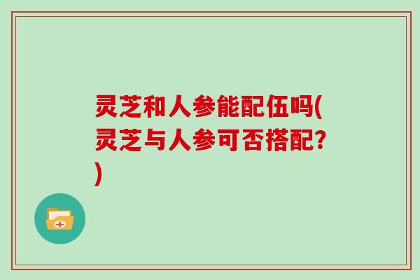 灵芝和人参能配伍吗(灵芝与人参可否搭配？)