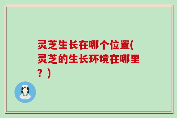 灵芝生长在哪个位置(灵芝的生长环境在哪里？)