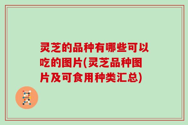 灵芝的品种有哪些可以吃的图片(灵芝品种图片及可食用种类汇总)