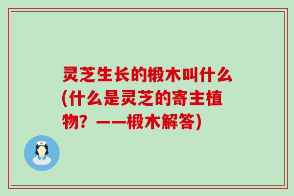 灵芝生长的椴木叫什么(什么是灵芝的寄主植物？——椴木解答)