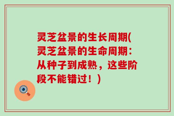 灵芝盆景的生长周期(灵芝盆景的生命周期：从种子到成熟，这些阶段不能错过！)