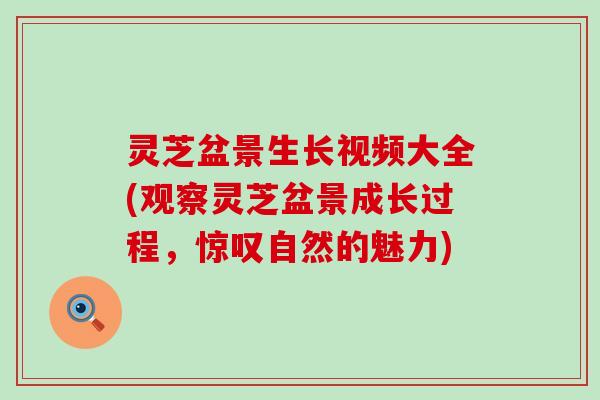 灵芝盆景生长视频大全(观察灵芝盆景成长过程，惊叹自然的魅力)