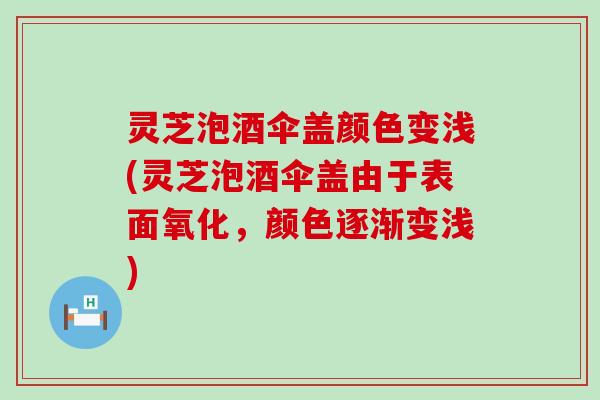 灵芝泡酒伞盖颜色变浅(灵芝泡酒伞盖由于表面氧化，颜色逐渐变浅)