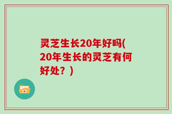 灵芝生长20年好吗(20年生长的灵芝有何好处？)