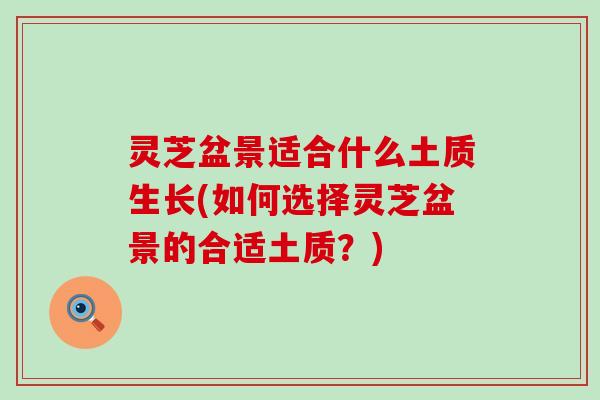 灵芝盆景适合什么土质生长(如何选择灵芝盆景的合适土质？)