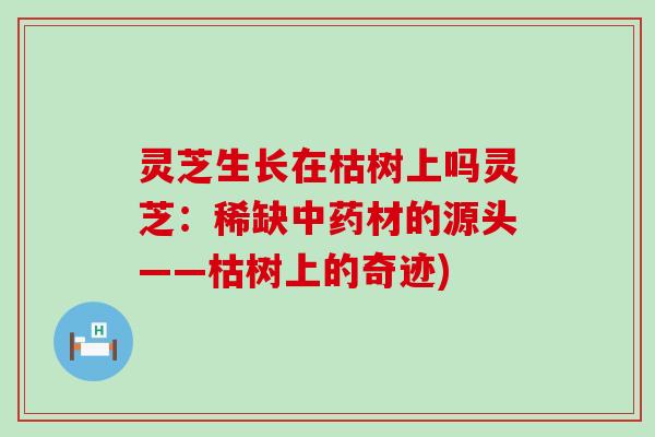 灵芝生长在枯树上吗灵芝：稀缺材的源头——枯树上的奇迹)