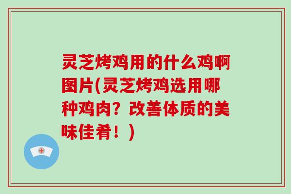 灵芝烤鸡用的什么鸡啊图片(灵芝烤鸡选用哪种鸡肉？改善体质的美味佳肴！)