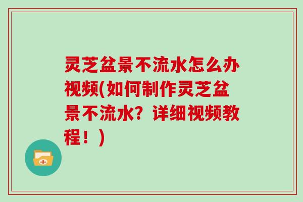 灵芝盆景不流水怎么办视频(如何制作灵芝盆景不流水？详细视频教程！)