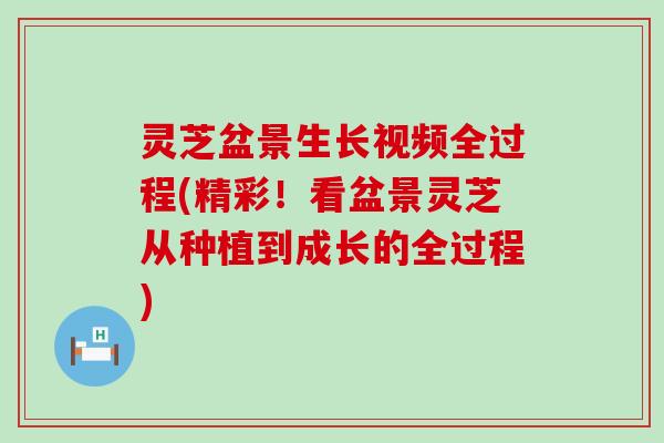 灵芝盆景生长视频全过程(精彩！看盆景灵芝从种植到成长的全过程)