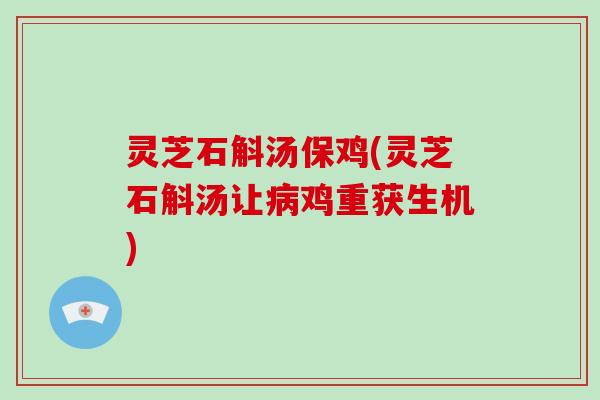 灵芝石斛汤保鸡(灵芝石斛汤让鸡重获生机)