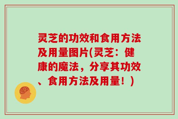 灵芝的功效和食用方法及用量图片(灵芝：健康的魔法，分享其功效、食用方法及用量！)