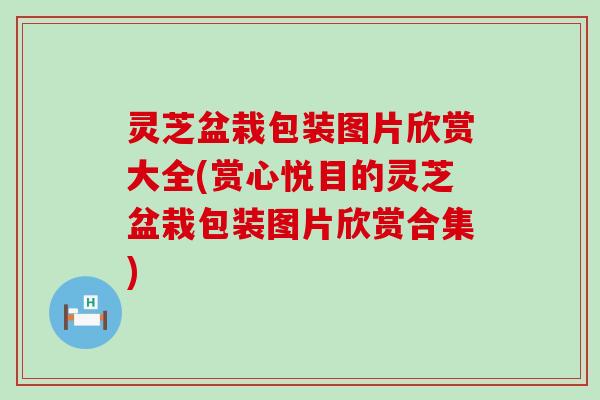 灵芝盆栽包装图片欣赏大全(赏心悦目的灵芝盆栽包装图片欣赏合集)