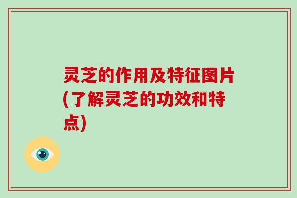 灵芝的作用及特征图片(了解灵芝的功效和特点)