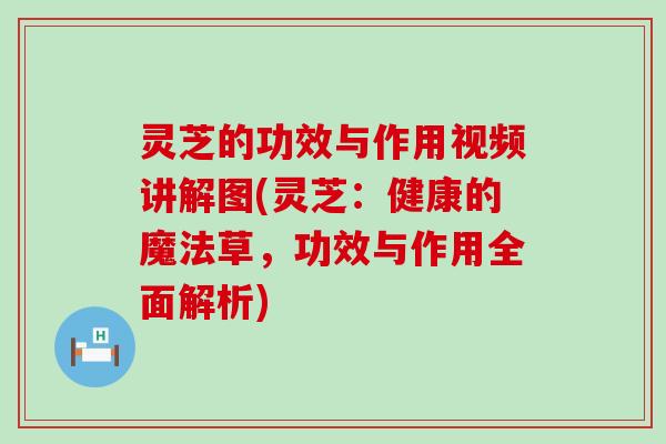 灵芝的功效与作用视频讲解图(灵芝：健康的魔法草，功效与作用全面解析)