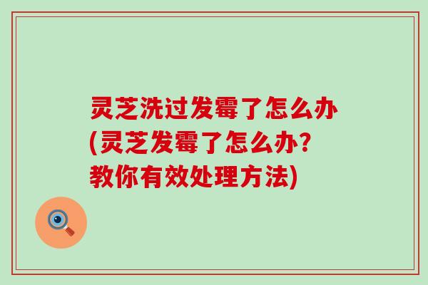 灵芝洗过发霉了怎么办(灵芝发霉了怎么办？教你有效处理方法)