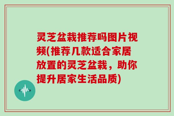 灵芝盆栽推荐吗图片视频(推荐几款适合家居放置的灵芝盆栽，助你提升居家生活品质)