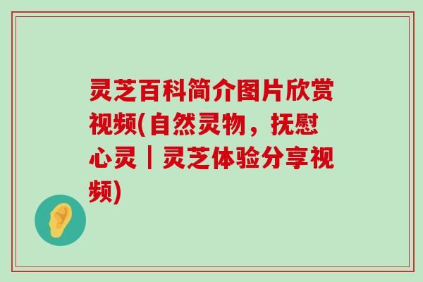 灵芝百科简介图片欣赏视频(自然灵物，抚慰心灵｜灵芝体验分享视频)