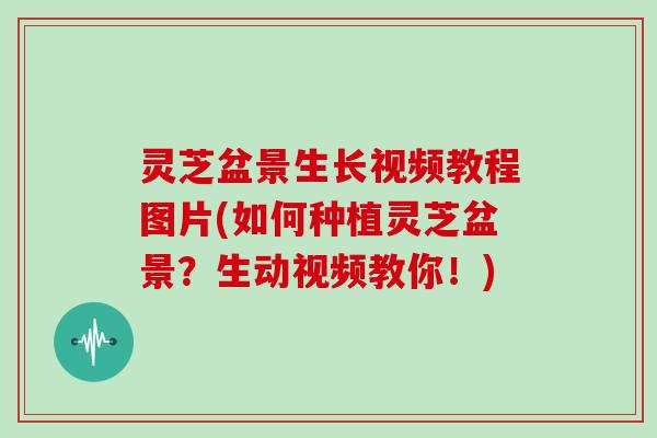 灵芝盆景生长视频教程图片(如何种植灵芝盆景？生动视频教你！)